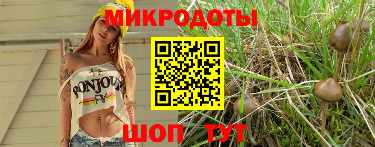Галлюциногенные грибы прущие грибы  Вход с VPN  Похвистнево 