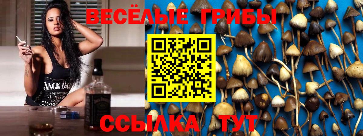 Галлюциногенные грибы мицелий Похвистнево